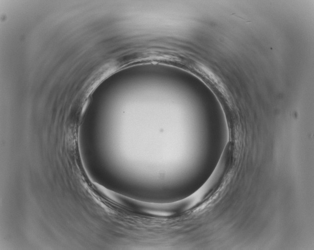 X0000087361377200704201136