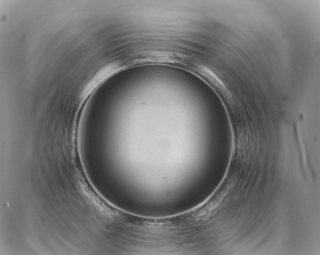 X0000087361378200704201136
