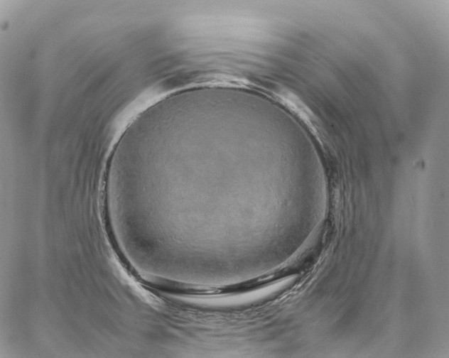 X0000087361379200704201136