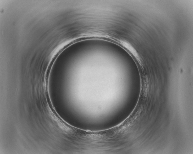 X0000087361380200704201136