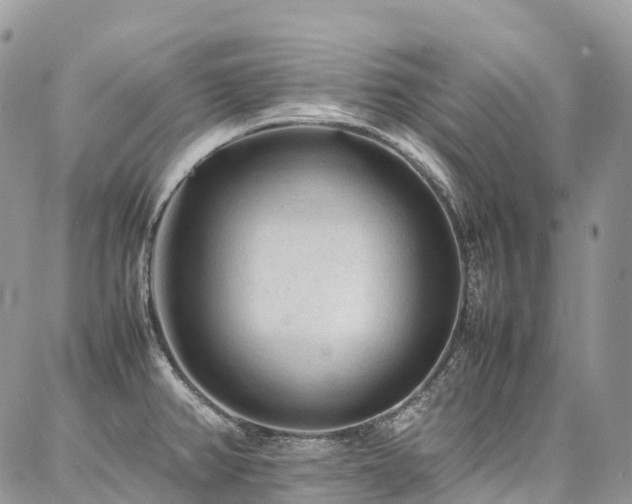 X0000087361382200704201136