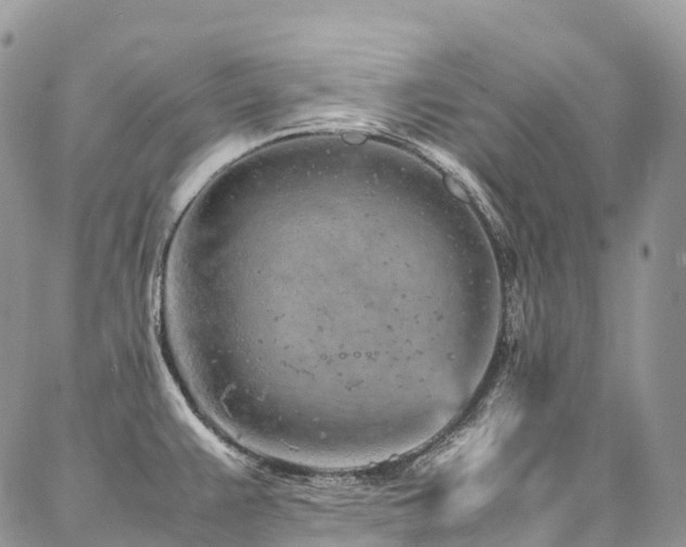 X0000087361383200704201136