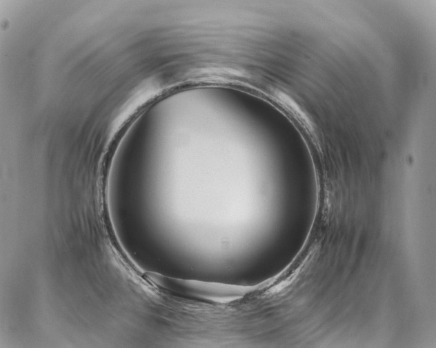X0000087361384200704201136