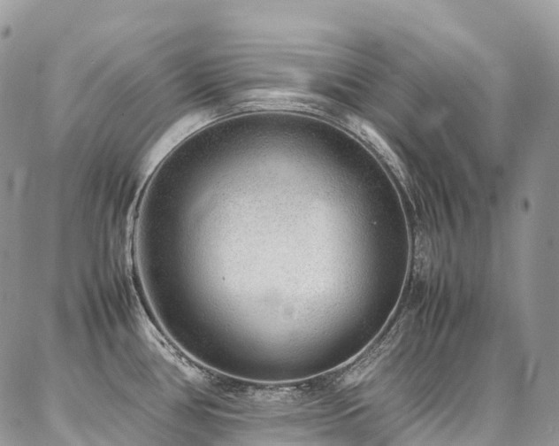 X0000087361386200704201136