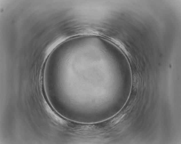 X0000087361387200704201136