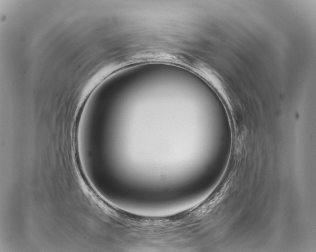 X0000087361389200704201136