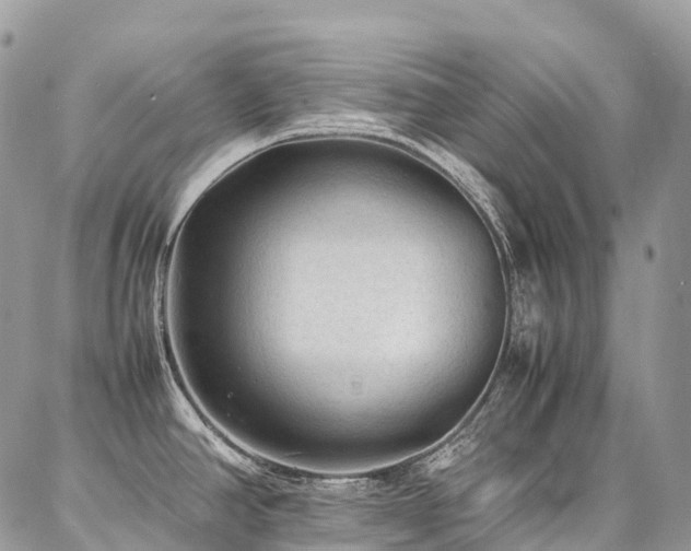 X0000087361390200704201136