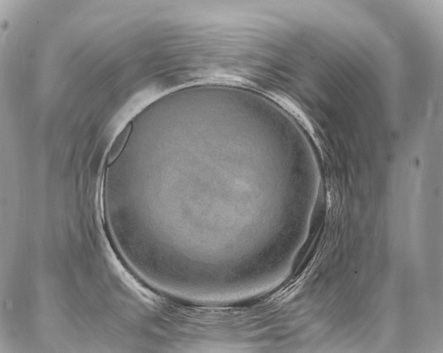 X0000087361391200704201136