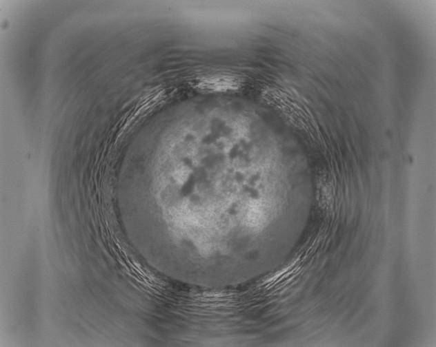 X0000087361393200704201135