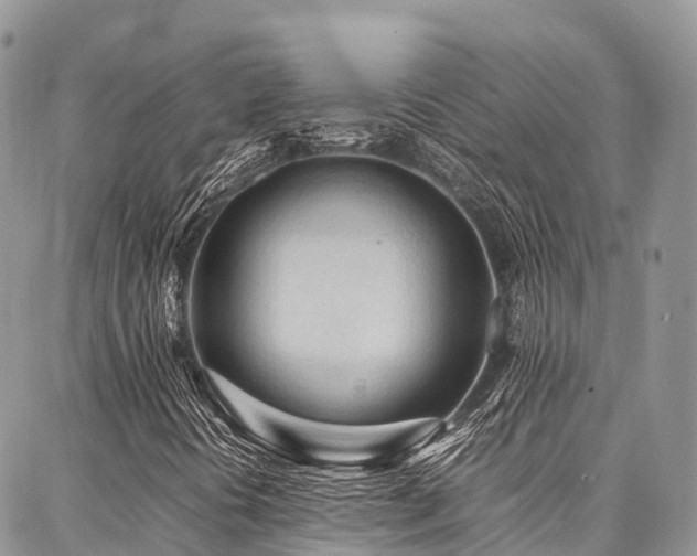 X0000087361394200704201135