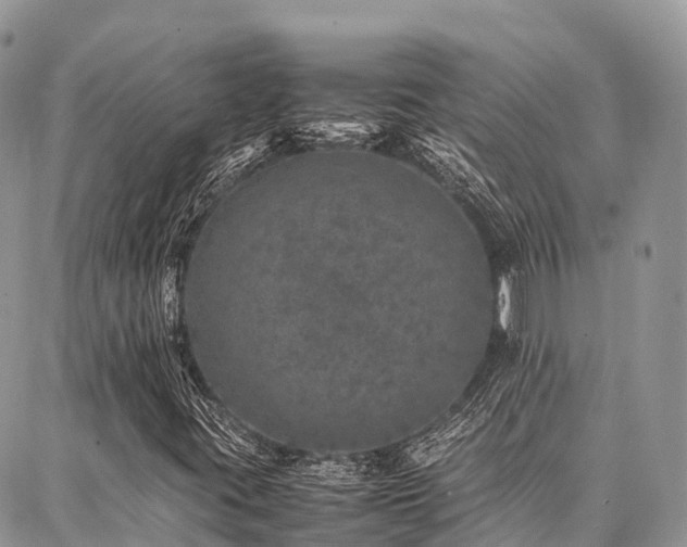 X0000087361395200704201135