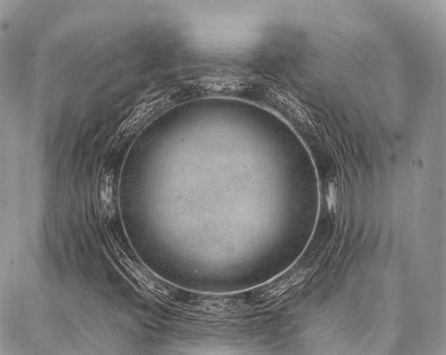 X0000087361396200704201135