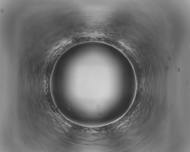 X0000087361398200704201135