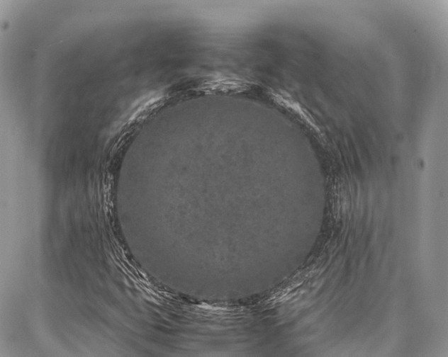 X0000087361399200704201135