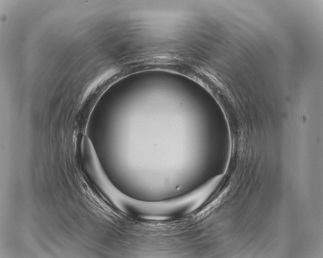 X0000087361402200704201135