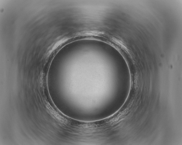 X0000087361404200704201135