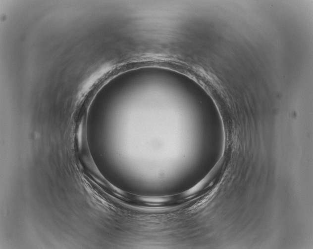 X0000087361406200704201135