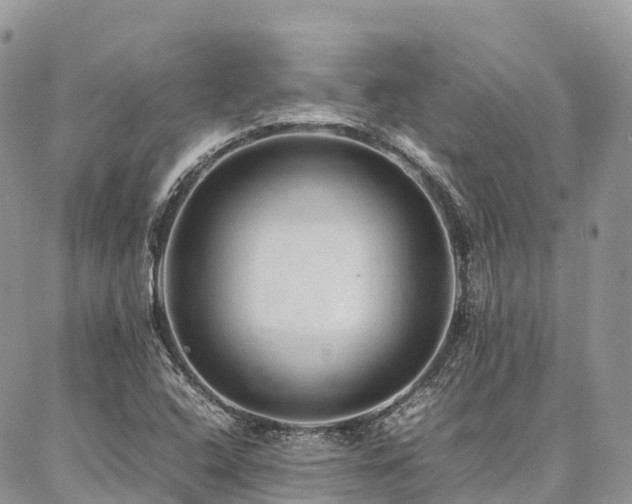 X0000087361408200704201136