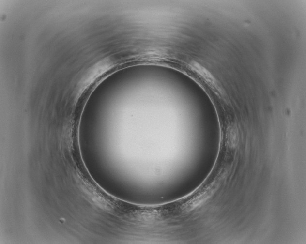 X0000087361410200704201136