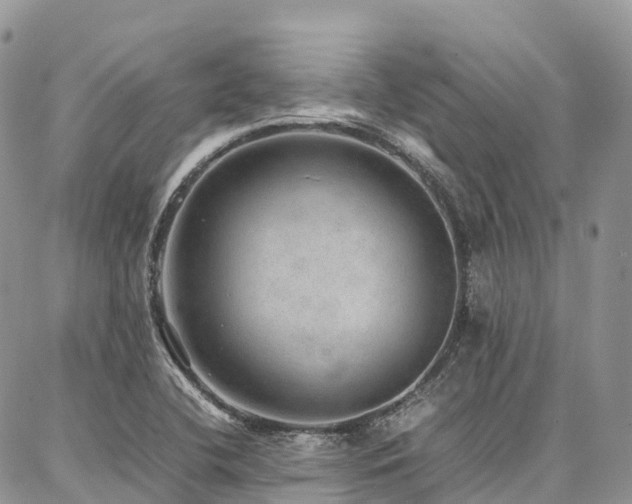 X0000087361412200704201136