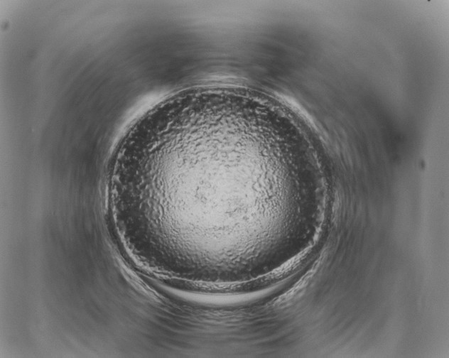 X0000087361413200704201136