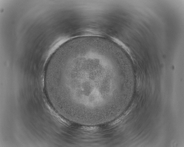 X0000087361415200704201136