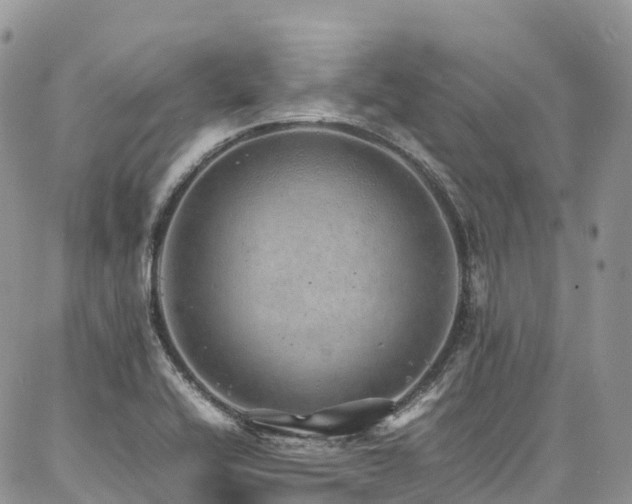 X0000087361416200704201136