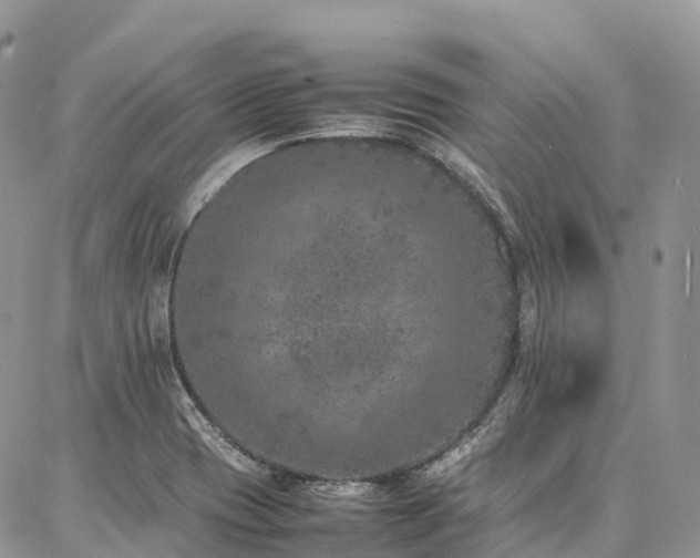 X0000087361417200704201136
