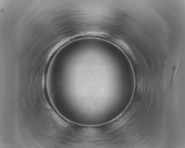 X0000087361420200704201136