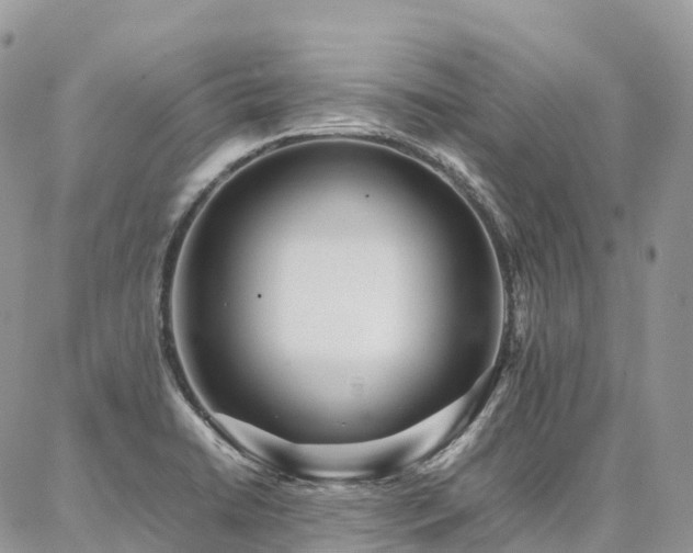 X0000087361422200704201136