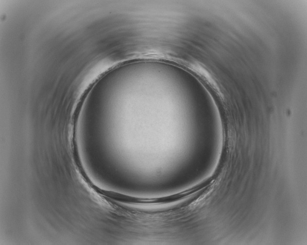 X0000087361424200704201136