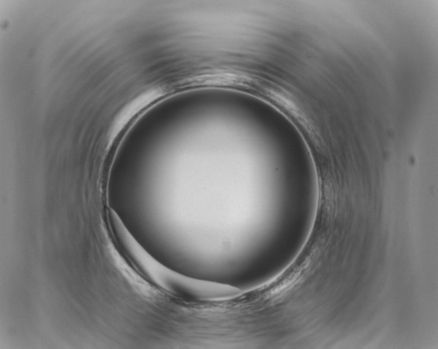 X0000087361426200704201136