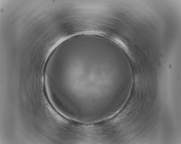 X0000087361428200704201136