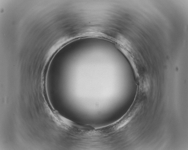 X0000087361430200704201136