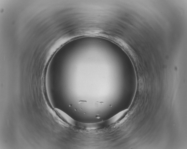 X0000087361432200704201136