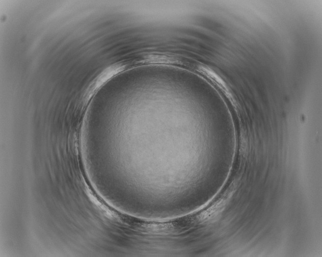X0000087361433200704201136