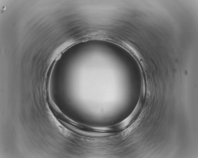 X0000087361434200704201136