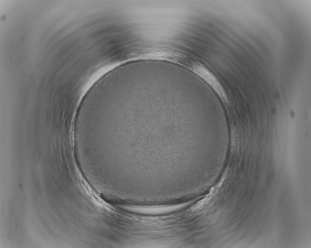 X0000087361436200704201136