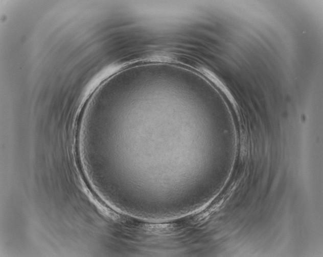 X0000087361437200704201136