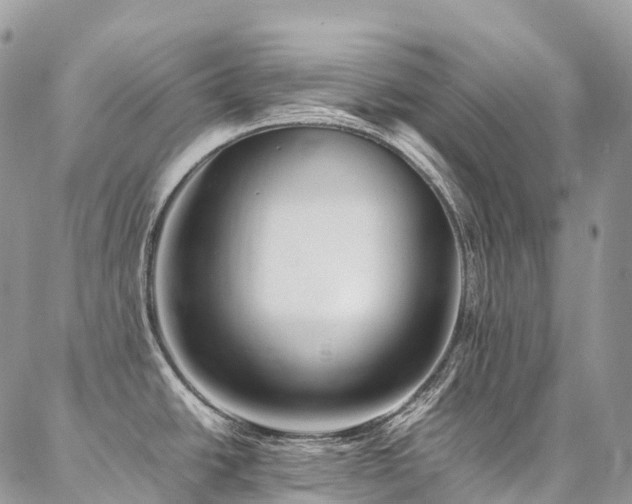 X0000087361438200704201136