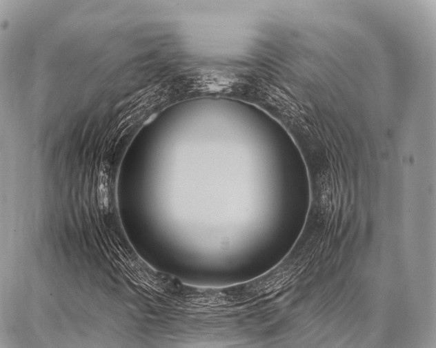 X0000087361442200704201135