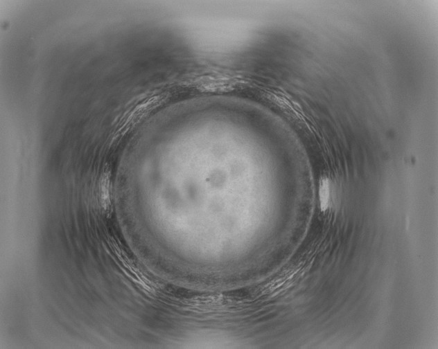 X0000087361444200704201135