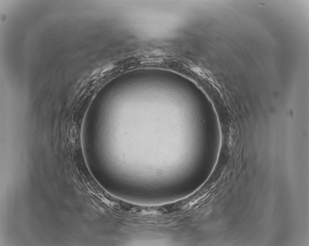 X0000087361445200704201135