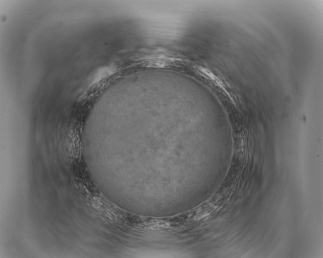 X0000087361446200704201135