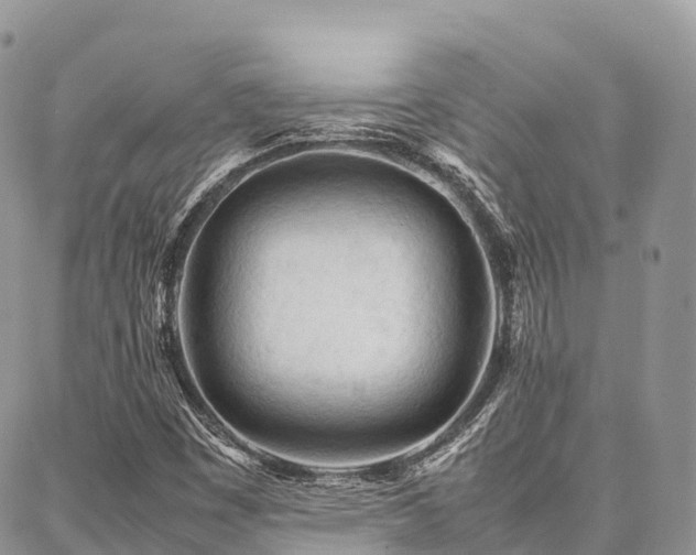 X0000087361449200704201135