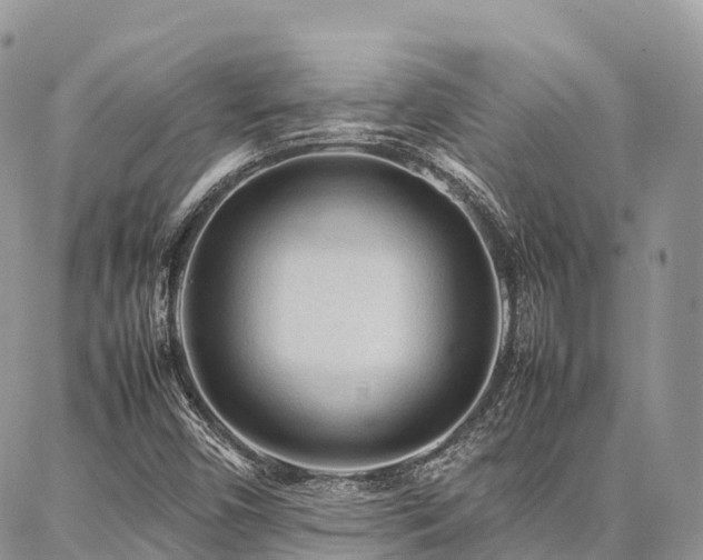 X0000087361450200704201135