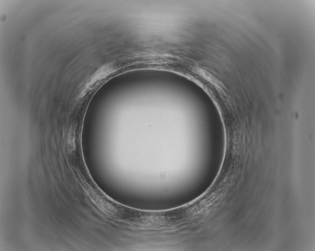 X0000087361451200704201135