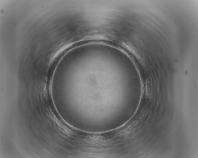 X0000087361452200704201135