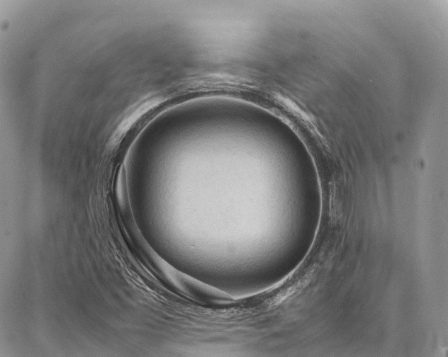 X0000087361453200704201135