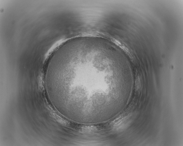 X0000087361454200704201135